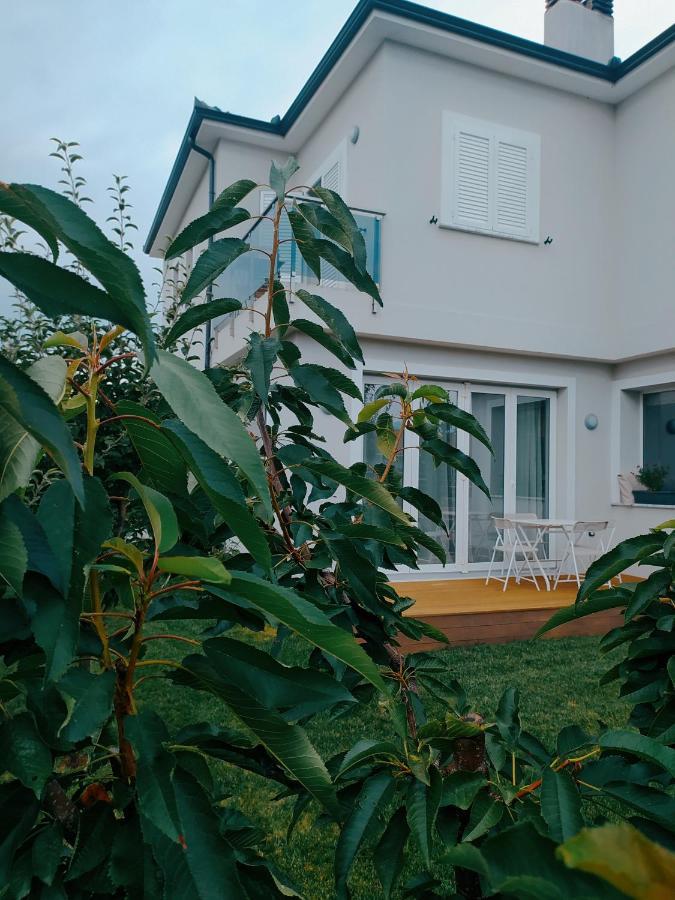 Marena B&B Pogradec Exterior foto