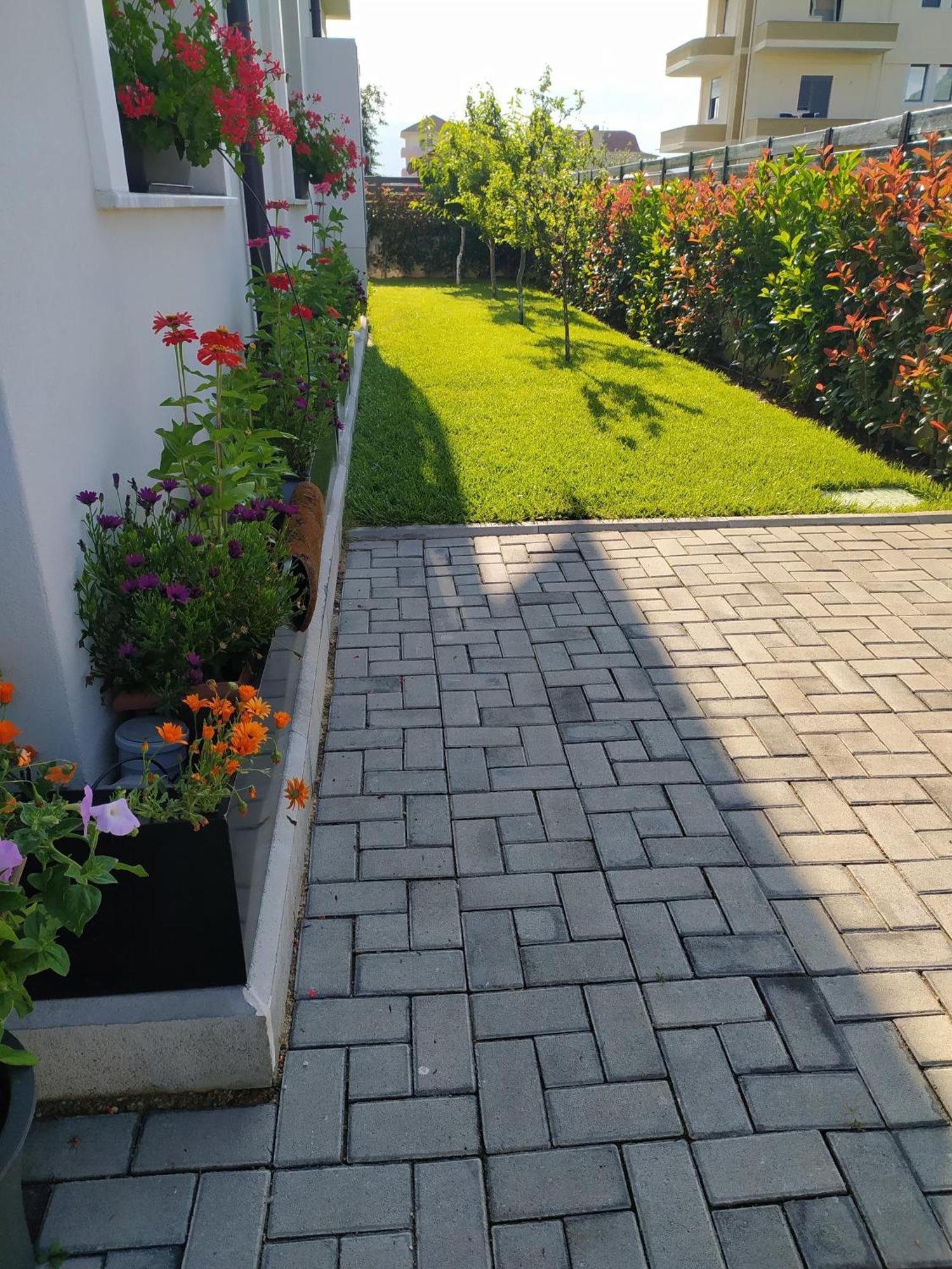 Marena B&B Pogradec Exterior foto